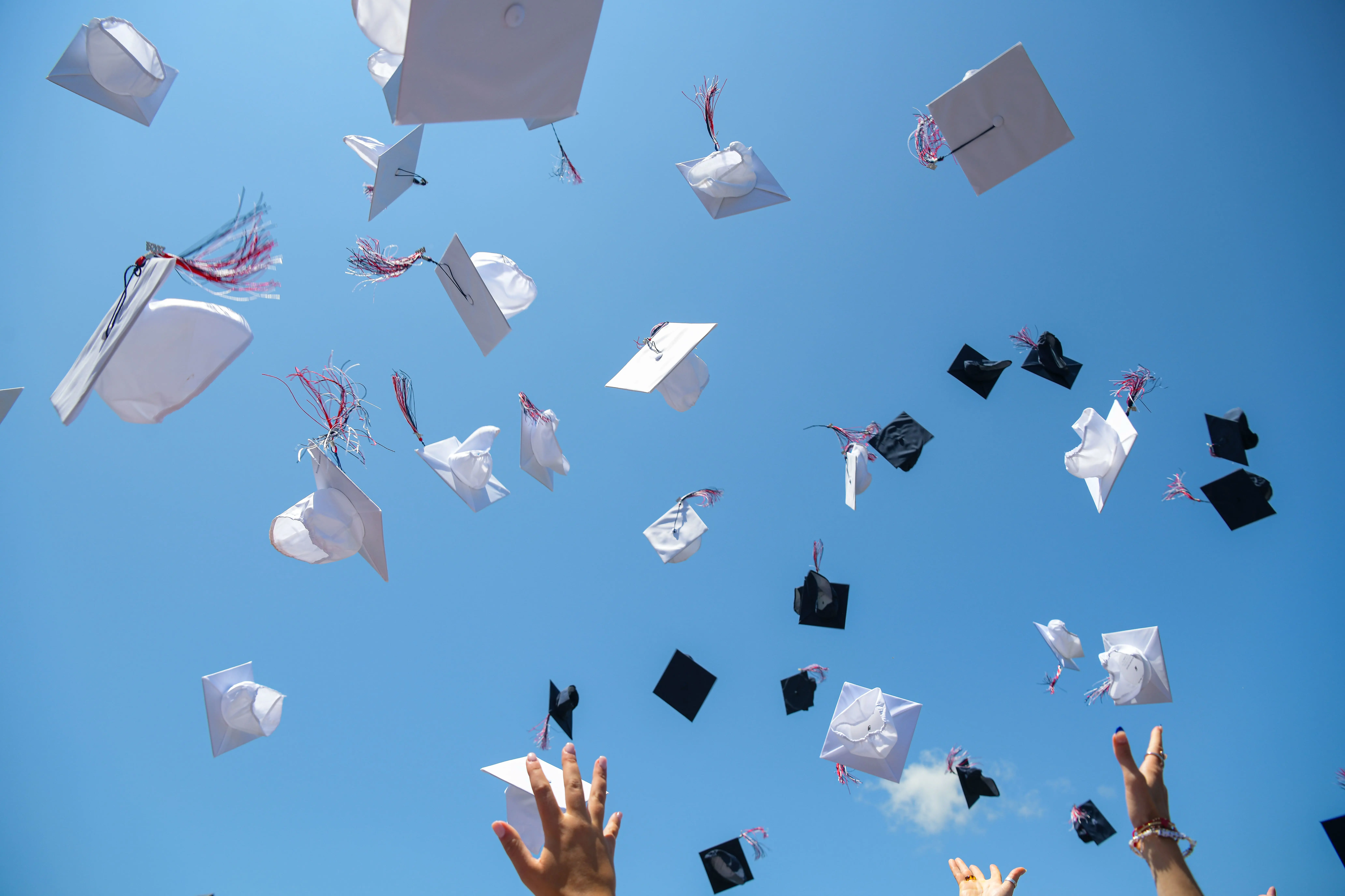 OptimizedImage,Optimized