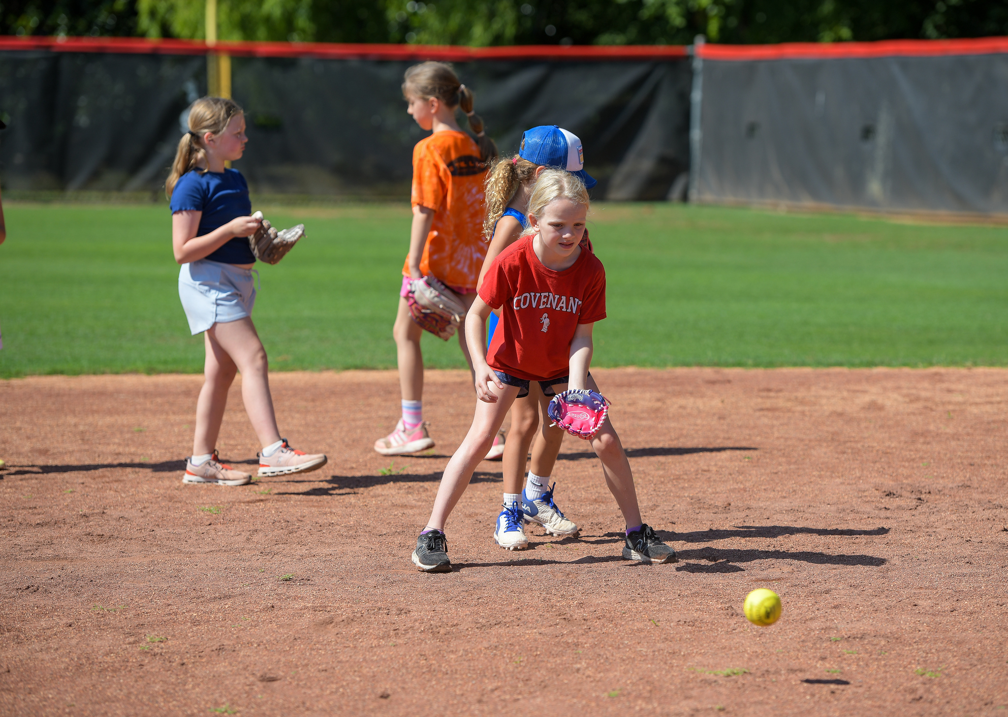 OriginalImage,,,Original